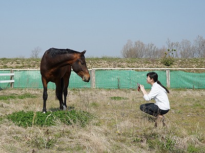 愛情が満たされる乗馬クラブ