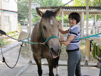 馬が喜ぶ顔