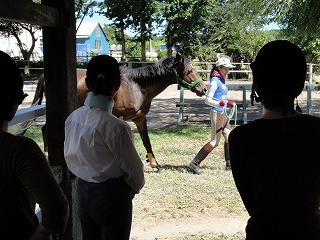 乗馬クラブウィッシュではフレンドリーのレッスンをしています