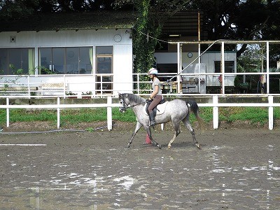 雨上がりの乗馬