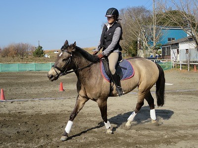 新年の乗馬