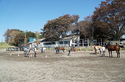 ホースマンシップ練習会