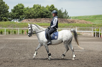 乗馬は調和