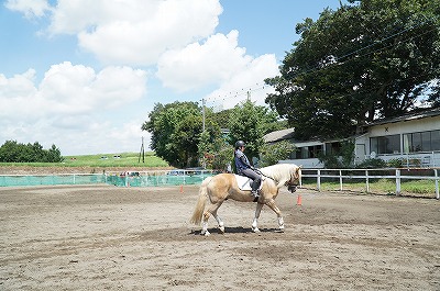 馬に喜ばれよう！