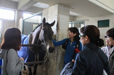 馬のためは自分のため