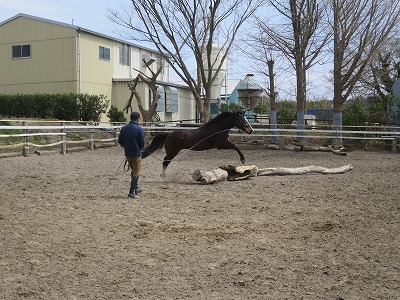 一人一人が馬を育てよう