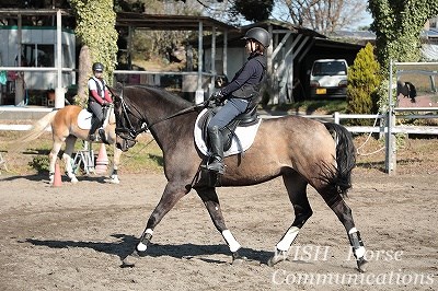 馬とコミュニケーション