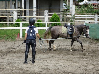 乗馬歴20数回