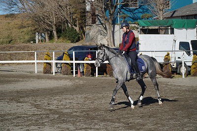 馬と楽しく自然につきあう