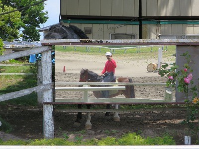 新馬調教　鏡でチェック！