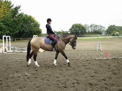 乗馬で四季を感じよう