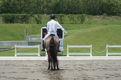 全日本馬場馬術大会