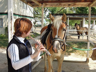 馬と一緒にフルートを聞きました