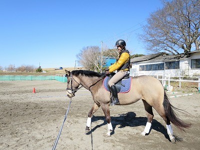 馬と一緒って楽しい