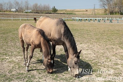 仲良し乗馬