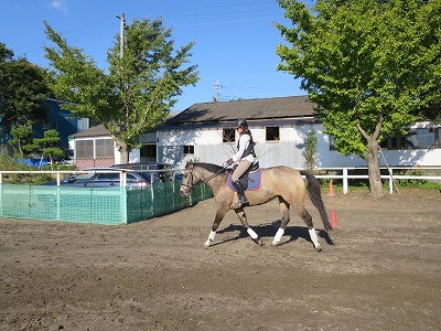 馬とパートナーシップを組む