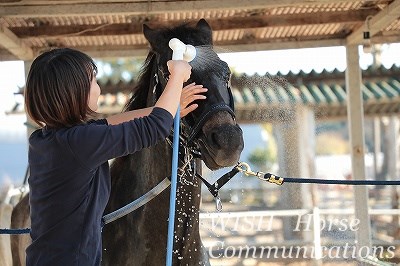 馬との信頼関係