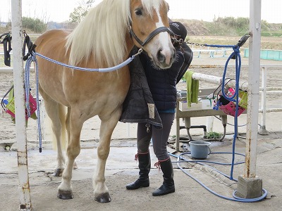 素敵な乗馬体験