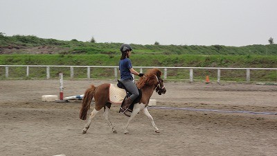 ポニー乗馬