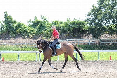 馬を大切にする