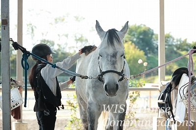 幸せそうな表情の馬