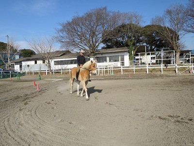 裸馬でハミ受け