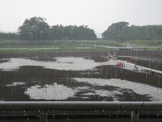 夏乗馬