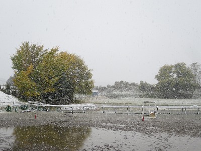 11月の大雪