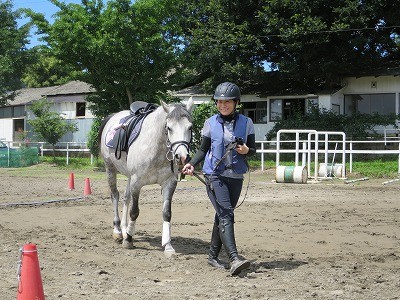 馬と共感による共鳴