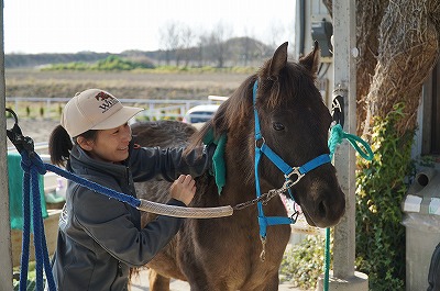 馬はすべてを反映している