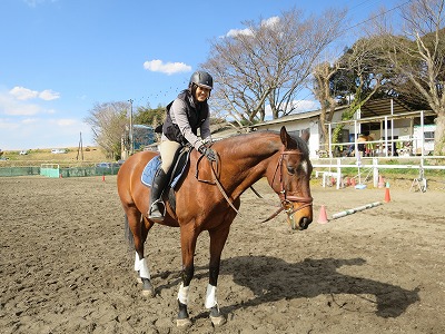 素敵な乗馬体験