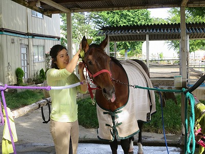 自分が信じられる馬術を