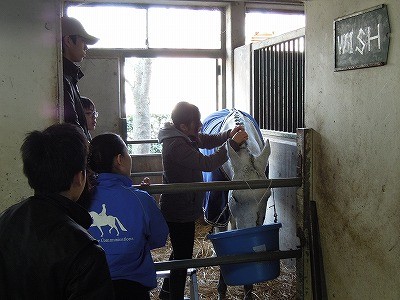 柏南高校馬術部関東大会たてがみ編み