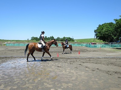 乗馬を学べる環境