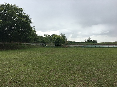 ウィッシュホースコミュニケーションズの牧草地