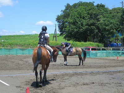 馬に喜びを