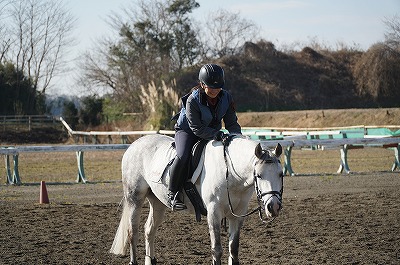 乗馬をただの趣味にしているうちはわからないよ