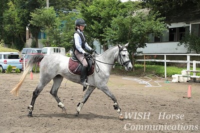 乗馬の真理