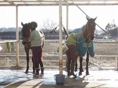安心で楽しい乗馬