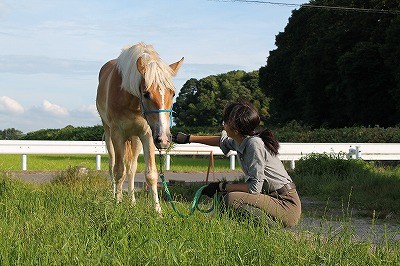 里山へ馬とお散歩