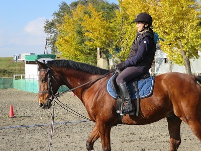 乗馬再スタート