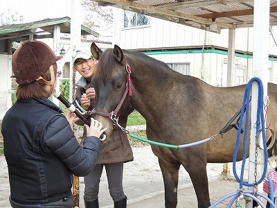 馬は音楽が好き