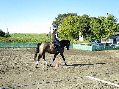 秋晴れ乗馬