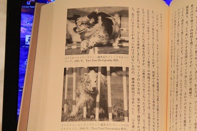 犬と人が出会うとき