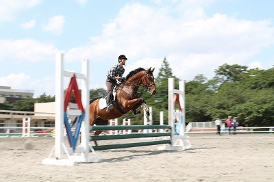 関東高等学校馬術選手権大会