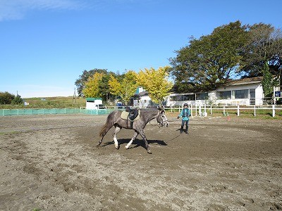 馬と一緒に楽しく