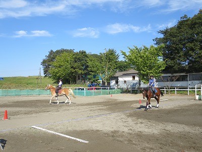 乗馬をはじめよう！