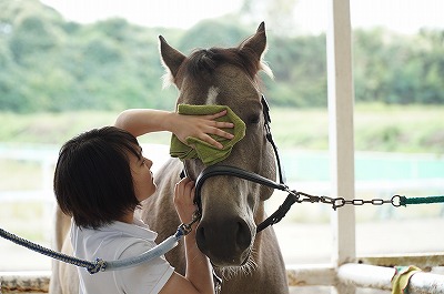 馬に好かれるリーダーになることが重要だ