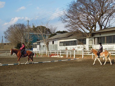 馬と楽しいコミュニケーションを！