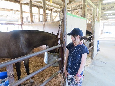 優しい馬と楽しいひとときを